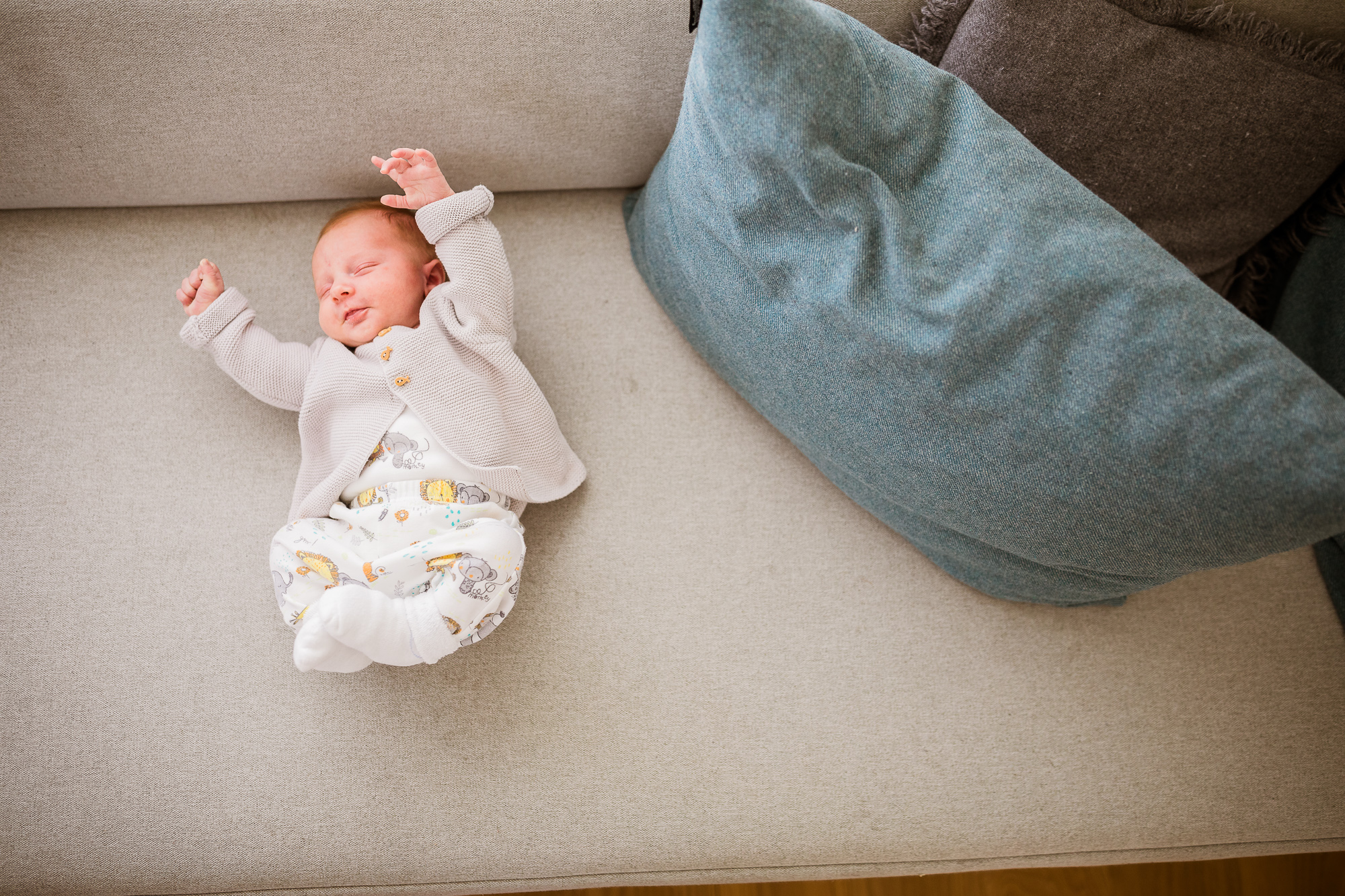 Export x3 5D4 6781 Familienfotoshooting 2019 Hefti